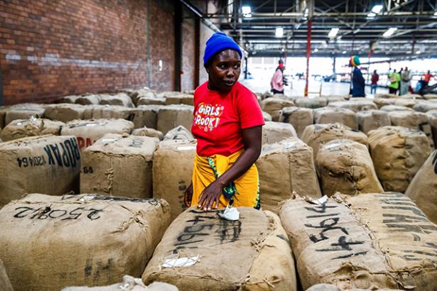 woman farmer at African tobacco warehouse