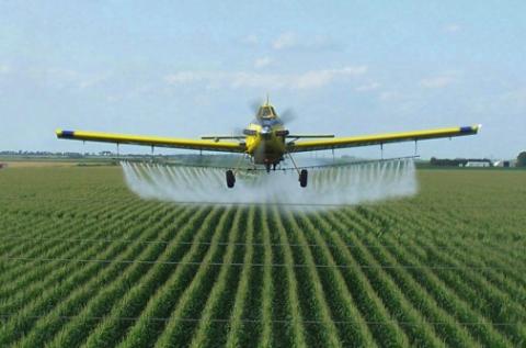 pesticide corn gmo illinois duster crop cripples spikes failure belt use poured cornfield pesticides