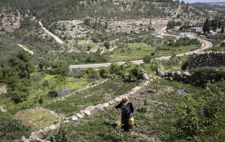 Sixty-year-old Mariam Bader waters her crop in the Palestinian village of Battir. 