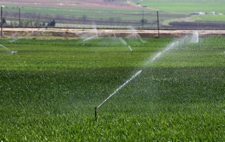Lebanese farmers irrigate their malt fields.