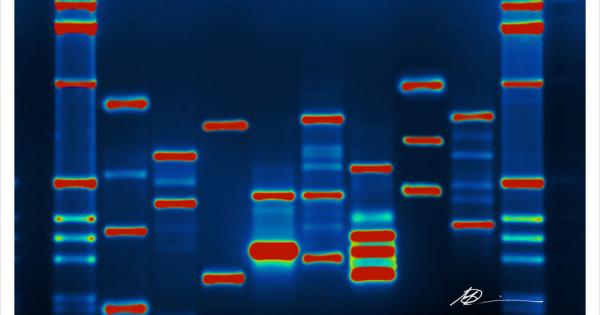 Early Results On DNA Evidence From Decades-Old Rape Cases Are Both ...