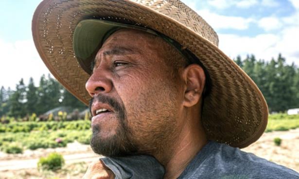 Face of a farmworker in a straw hat.