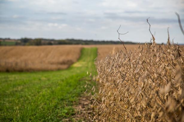 Agroecology, which places ecological science at the center of agriculture, is a scrappy movement that’s taking off globally