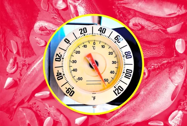 High heat can make seafood more dangerous for human consumption. 