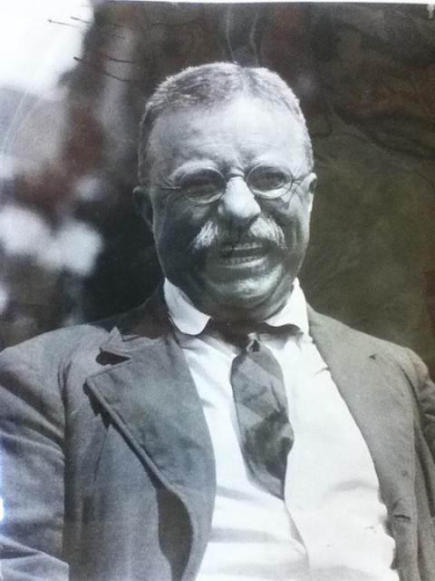 Theodore Roosevelt: 