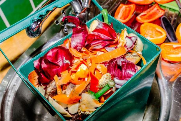 Through fungal fermentation, agricultural waste like fruit pulp and household food scraps can be transformed into high-protein food.