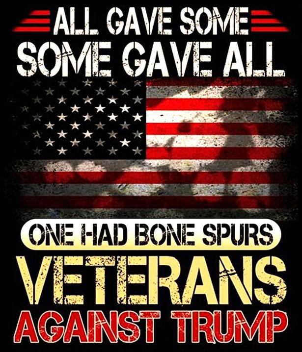 Photo of a poster with the words, All Gave Some, Some Gave All, Some Had Bone Spurs, Veterans Against Trump
