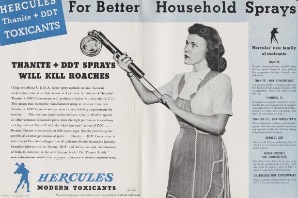 Magazine advertisement for DDT spray