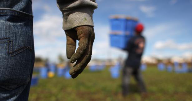photo of a worker walking highlighting their rough and soiled hand.