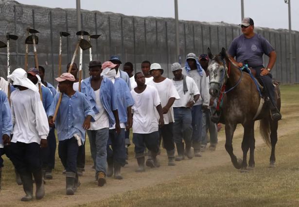 A photo of a prison guard riding a horse alongside prisoners.