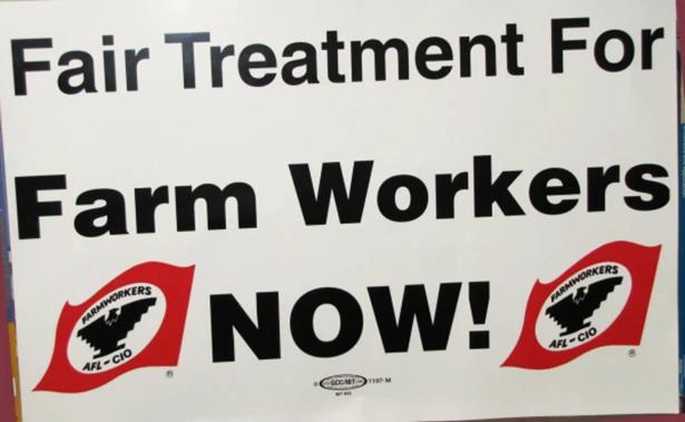 Poster that reads Fair Treatment for Farm Workers NOW!