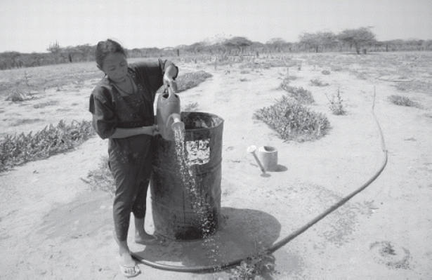 woman pouring water