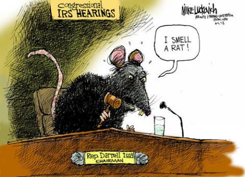 rat smell portside luckovich mike