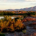 wildlife refuge in Nevada