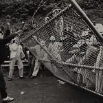 Anti-nuke demonstrators pulling down a fence at the Shoreham construction site