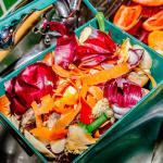 Through fungal fermentation, agricultural waste like fruit pulp and household food scraps can be transformed into high-protein food.