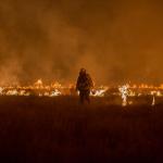 firefighter fighting blaze