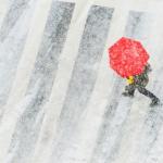 Person walking through snowstorm with umbrellas