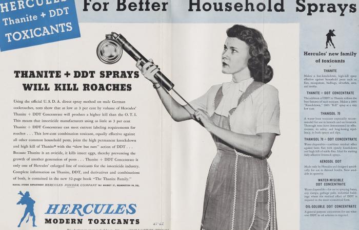 Magazine advertisement for DDT spray