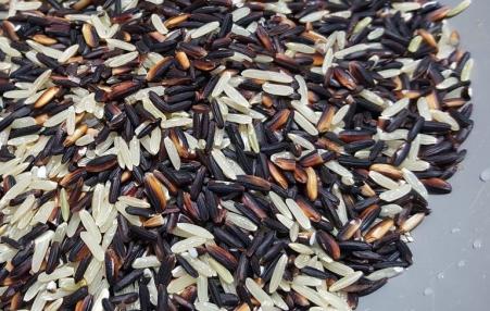 Rice is a main staple in more than 100 countries worldwide.