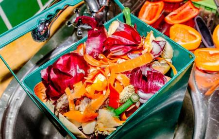 Through fungal fermentation, agricultural waste like fruit pulp and household food scraps can be transformed into high-protein food.