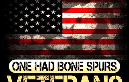 Photo of a poster with the words, All Gave Some, Some Gave All, Some Had Bone Spurs, Veterans Against Trump