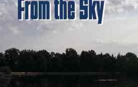 front cover of the novel The Man Who Fell From the Sky