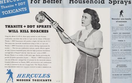 Magazine advertisement for DDT spray