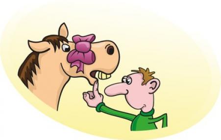 Illustration of a man looking into the mouth of horse with a bow on its head. 