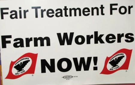 Poster that reads Fair Treatment for Farm Workers NOW!
